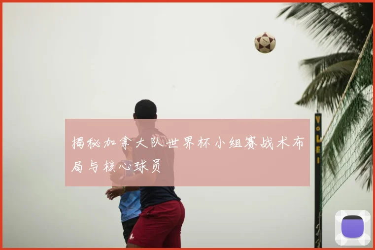 揭秘加拿大队世界杯小组赛战术布局与核心球员