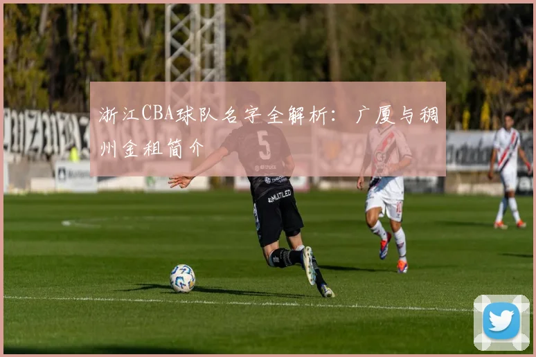 浙江CBA球队名字全解析：广厦与稠州金租简介